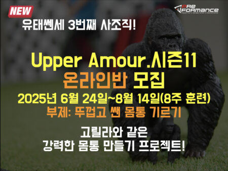 온라인 어퍼아머 훈련 시즌.11