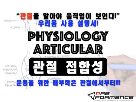 [관절 생리학] 관절 접합성 온라인 강좌(2기)