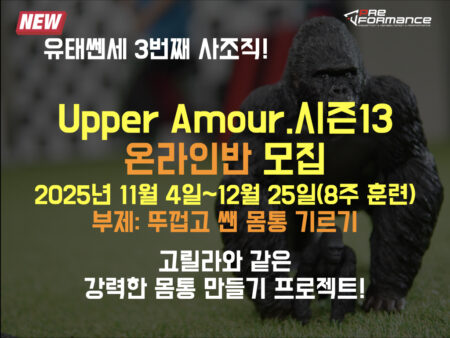 온라인 어퍼아머 훈련 시즌.13